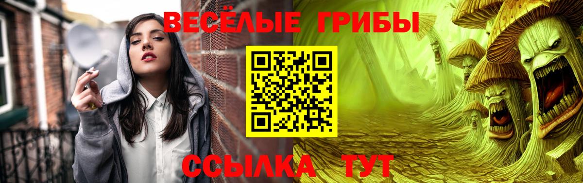 Галлюциногенные грибы Psilocybe  Вход с VPN  Гусев  Галлюциногенные грибы Magic Shrooms 